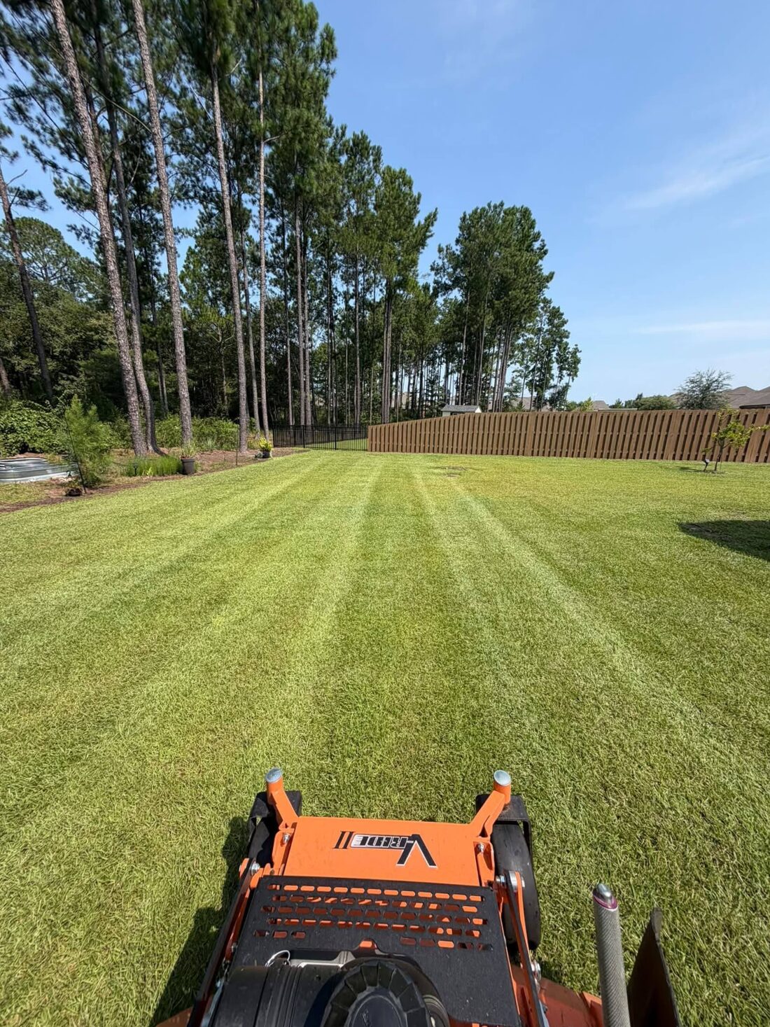 Freshly mown lawn with clean cut lines, Freeport FL