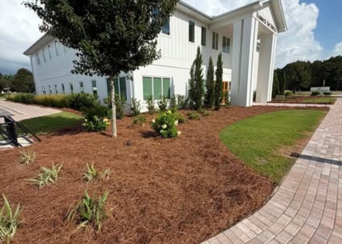 Freshly planted flower bed with pine straw and brick edging