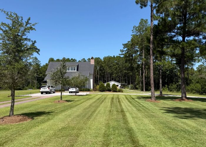 Lawn mown in clean parallel stripes, Freeport FL
